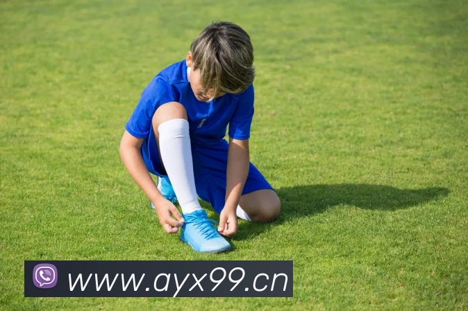 世界杯官网登录app发展历程